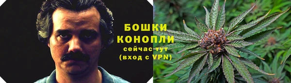 ПСИЛОЦИБИНОВЫЕ ГРИБЫ Армянск