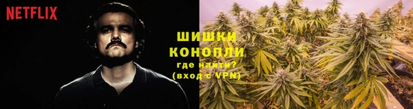 ПСИЛОЦИБИНОВЫЕ ГРИБЫ Армянск