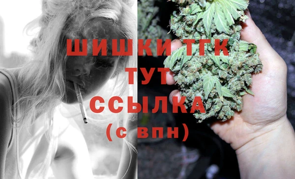ешки Арсеньев