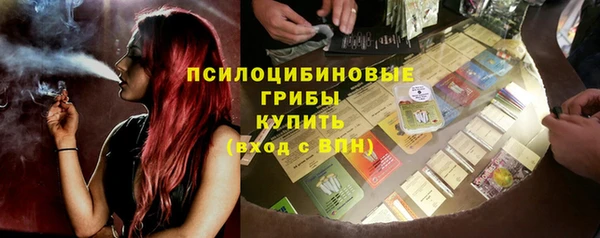 ПСИЛОЦИБИНОВЫЕ ГРИБЫ Армянск