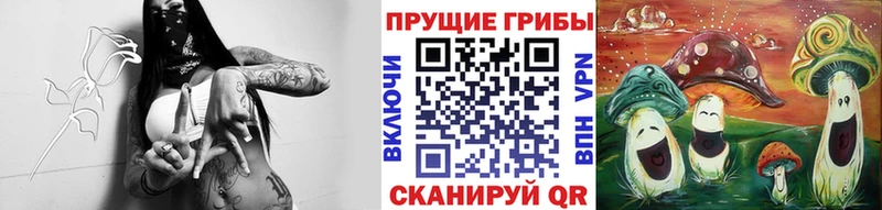 как найти Новосиль Галлюциногенные грибы Magic Shrooms