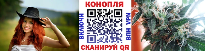 Бошки Шишки ГИДРОПОН Новосиль